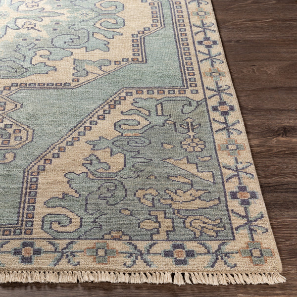 Cappadocia CPP-5031 8' x 11' Handmade Rug CPP5031-811  Light Sage, Denim, Ivory, Light Olive, Dusty Coral Surya
