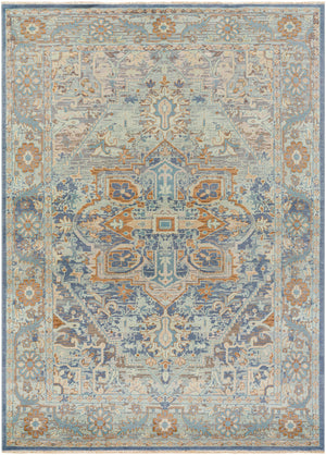 Cappadocia CPP-5034 8' x 11' Handmade Rug CPP5034-811  Pale Blue, Medium Gray, Charcoal, Taupe, Medium Brown Surya