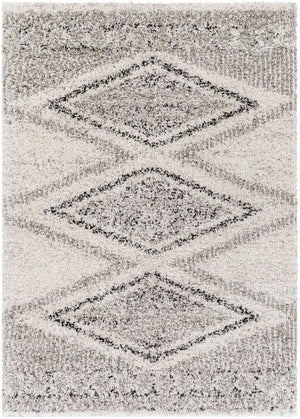 Capella Shag CPS-2304 5'3" x 7' Machine Woven Rug CPS2304-537 Livabliss Surya