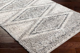 Capella Shag CPS-2304 5'3" x 7' Machine Woven Rug CPS2304-537 Livabliss Surya