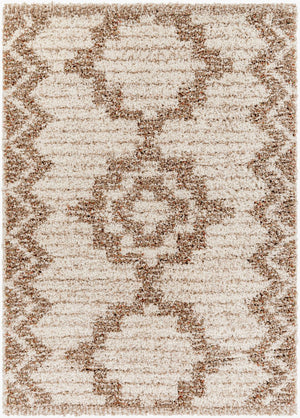 Livabliss Capella Bohemian Global Shag Area Rug Plush Polyester Pile for Living Rooms CPS2305-679