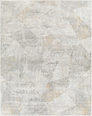 Livabliss Carmel Machine Woven Polyester Area Rug for Mid-century Modern Living Spaces Light Gray, Tau 7'10" x 10' CRL2303-71010