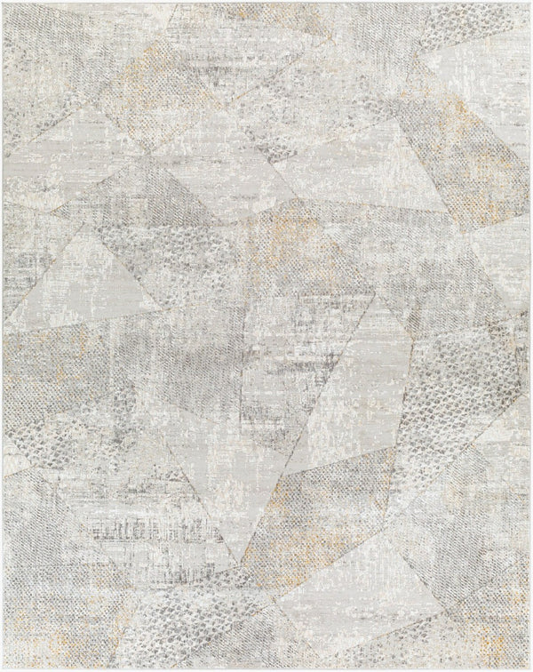 Livabliss Carmel Machine Woven Polyester Area Rug for Mid-century Modern Living Spaces Light Gray, Tau 7'10" x 10' CRL2303-71010