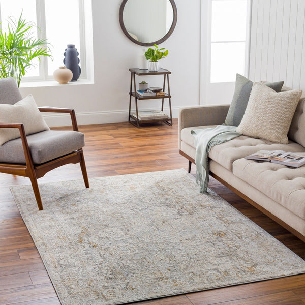 Livabliss Carmel Traditional Polyester Area Rug with Lustrous Sheen for Living and Dining Rooms Light Gray, Whi 10' x 13'11" CRL2305-1014