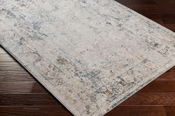 Livabliss Carmel Traditional Polyester Area Rug for Large Living or Dining Rooms High Traffic Light Gray, Dar 7'10" x 10' CRL2306-71010