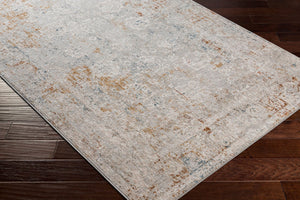 Livabliss Carmel Traditional Patterned Polyester Area Rug Machine Woven in Turkey for Living Rooms Light Gray, Dar 10' x 13'11" CRL2307-1014