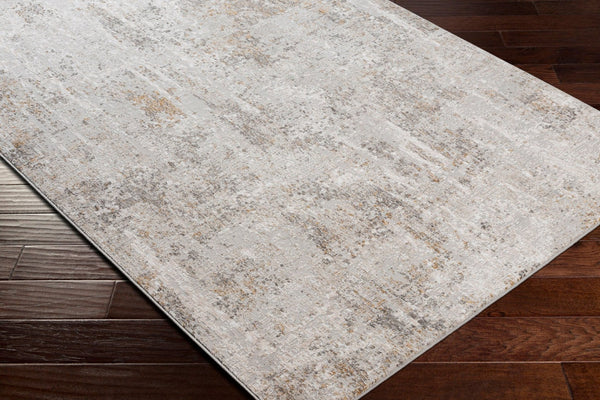 Livabliss Carmel Geometric Area Rug Mid-century Modern Polyester Pile for Living Dining Rooms Light Gray, Dar 2' x 2'11" CRL2310-23