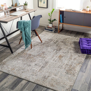 Livabliss Carmel Geometric Area Rug Mid-century Modern Polyester Pile for Living Dining Rooms Light Gray, Dar 2' x 2'11" CRL2310-23