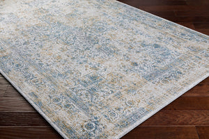 Livabliss Carmel Traditional Machine Woven Polyester Plush Accent Rug for Entryways and Bedrooms Taupe, Blue 2'7" x 3'11" CRL2312-274