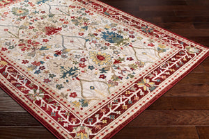 Livabliss Crafty Machine Woven Polypropylene Accent Rug Traditional Modern Pattern for Entryways Burgandy, Rust 8'10" x 12'4" CRT2309-9123