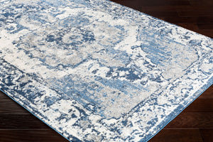Livabliss Chelsea Traditional Polypropylene Woven Area Rug for Living Room and Dining Spaces CSA2300-5373