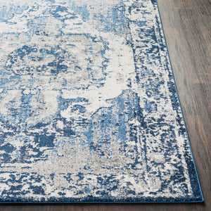 Livabliss Chelsea Traditional Polypropylene Woven Area Rug for Living Room and Dining Spaces CSA2300-5373