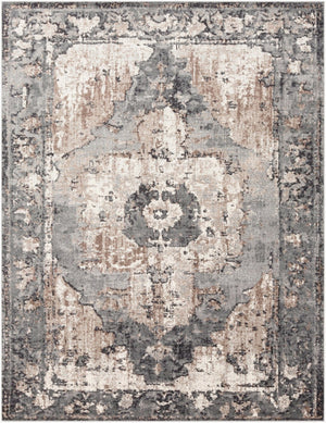 Livabliss Chelsea Traditional Area Rug Turkey Woven Polypropylene for Large Formal Living Rooms Dark Brown, Cam 7'10" x 10'2" CSA2304-710103