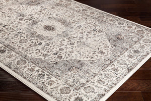 Livabliss Chelsea Traditional Turkish Machine Woven Area Rug for Living Room and Dining Spaces CSA2305-5373