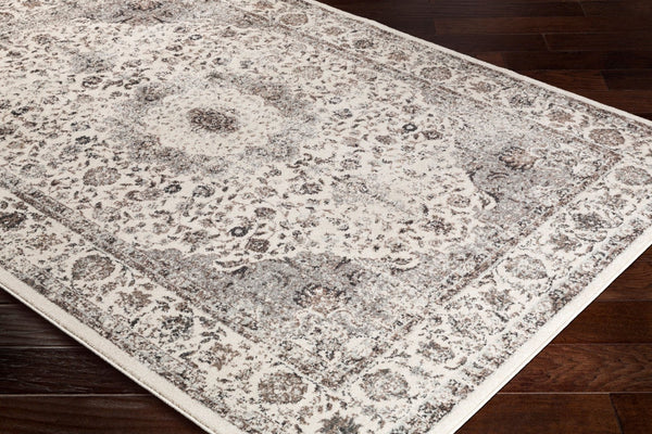 Livabliss Chelsea Traditional Turkish Machine Woven Area Rug for Living Room and Dining Spaces CSA2305-5373