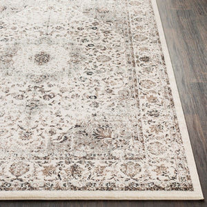 Livabliss Chelsea Traditional Turkish Machine Woven Area Rug for Living Room and Dining Spaces CSA2305-5373