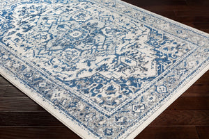 Livabliss Chelsea Machine Woven Polypropylene Accent Rug Turkish Pattern for Entryway Kitchen CSA2317-23
