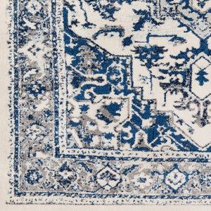 Livabliss Chelsea Machine Woven Polypropylene Accent Rug Turkish Pattern for Entryway Kitchen CSA2317-23