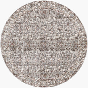 Livabliss Carlisle Traditional Polyester Area Rug Turkey Woven Medium Pile Living Room Floor Dusty Sage, Lig 7'10" x 7'10" CSI2301-710RD