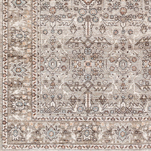 Carlisle CSI-2301 8'10" x 12'6" Machine Woven Rug CSI2301-810126  Dusty Sage, Light Gray, Dusty Pink, Ivory, Pale Blue, Charcoal Surya