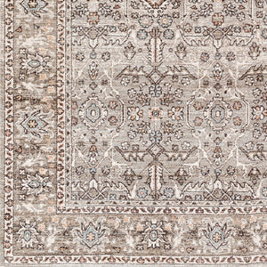 Livabliss Carlisle Traditional Polyester Area Rug Turkey Woven Medium Pile Living Room Floor Dusty Sage, Lig 5'3" x 7'9" CSI2301-5379