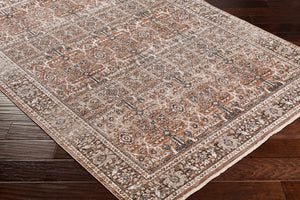 Carlisle CSI-2302 8'10" x 12'6" Machine Woven Rug CSI2302-810126  Dusty Pink, Medium Brown, Light Gray, Pale Blue, Brown, Denim Surya