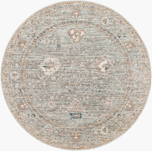 Livabliss Carlisle Square Traditional Machine Woven Polyester Rug for Living or Dining Rooms CSI2310-710RD