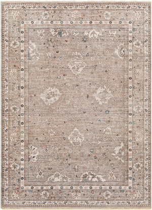 Carlisle CSI-2312 8'10" x 12'6" Machine Woven Rug CSI2312-810126  Sage, Ivory, Pale Blue, Charcoal, Brown Surya