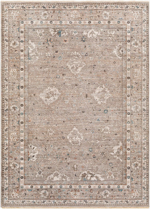 Livabliss Carlisle Traditional Turkish Woven Polyester Rug for Hallways Bedrooms and Entryways Sage, Ivory 2' x 2'11" CSI2312-2211