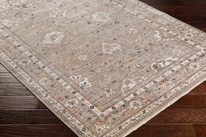 Carlisle CSI-2312 8'10" x 12'6" Machine Woven Rug CSI2312-810126  Sage, Ivory, Pale Blue, Charcoal, Brown Surya