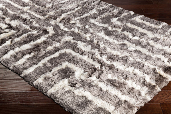 Surya Corsair 2' X 3' Handmade Area Rug – Plush Polyester With Modern Style, Easy To Clean, Versatile Decor Charcoal Polyester Csr1005-576