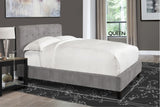 Parker House Parker Living Sleep Jody - Cornflower Queen Bed Cornflower Grey 100% Polyester (SW) BJOD#8000-2-COR