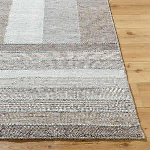 Celtic CTC-2301 9' x 12' Handmade Rug CTC2301-912  Warm Grey, Sage, Grey, Prairie Dust, Light Silver Surya