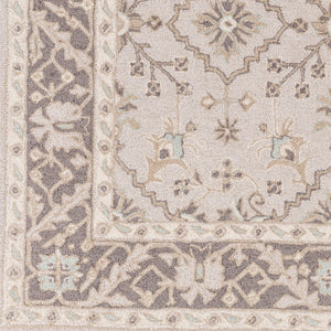 Surya Castille Luxurious 2' X 3' Handmade Wool Rug - Elegant Low Pile Design For Traditional Spaces Beige Wool Ctl2000-23
