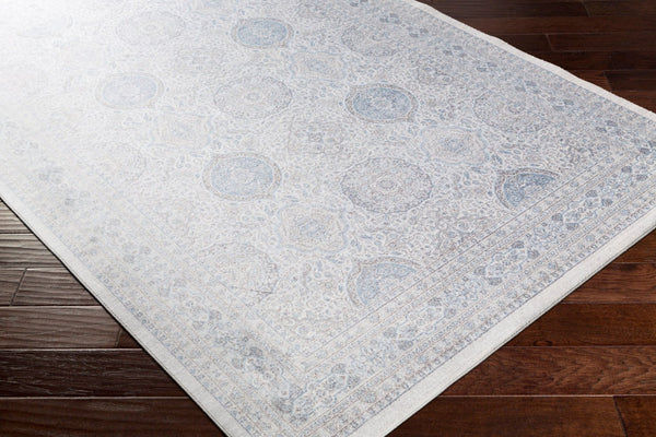 Livabliss Couture Viscose Accent Rug Traditional Low Pile Machine Woven for Entryway or Vanity CTU2300-23