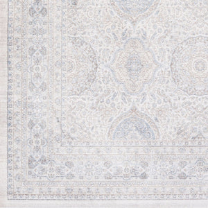 Livabliss Couture Viscose Accent Rug Traditional Low Pile Machine Woven for Entryway or Vanity CTU2300-23