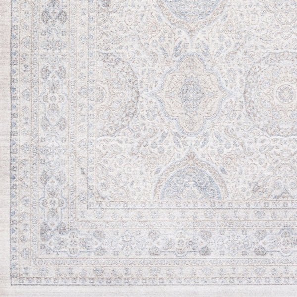 Livabliss Couture Viscose Accent Rug Traditional Low Pile Machine Woven for Entryway or Vanity CTU2300-23