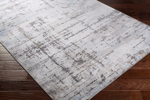 Livabliss Couture Viscose Pile Turkish Machine Woven Accent Rug for Entryways and Bedrooms CTU2301-23