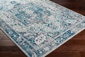 Livabliss Couture Traditional Medallion Polyester Area Rug for Formal Living and Dining Rooms CTU2320-81012