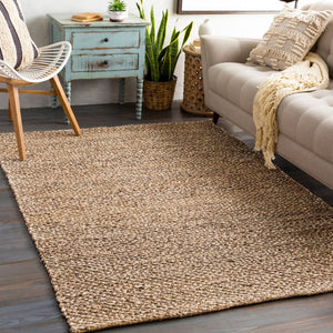 Livabliss Curacao Handwoven Natural Jute Flatweave Area Rug for Bohemian and Coastal Living Spaces Light Brown, Cr 2' x 3' CUR2301-23