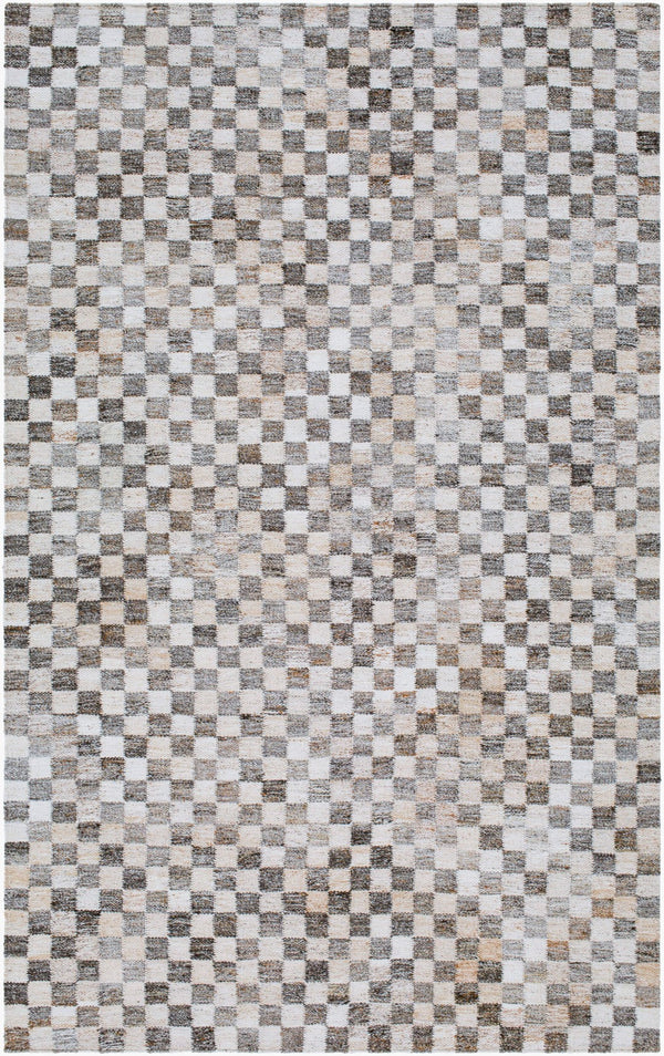 Surya Cusco 2' X 3' Handmade Indoor/Outdoor Rug – Durable, Stylish, Easy Maintenance For Year-round Comfort Taupe Polyester Cus2300-576