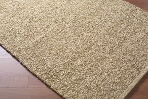 Livabliss Curly Handwoven New Zealand Wool Area Rug for Living Room Dining or Bedroom Spaces Beige, Sand 10' x 14' CUY2302-1014
