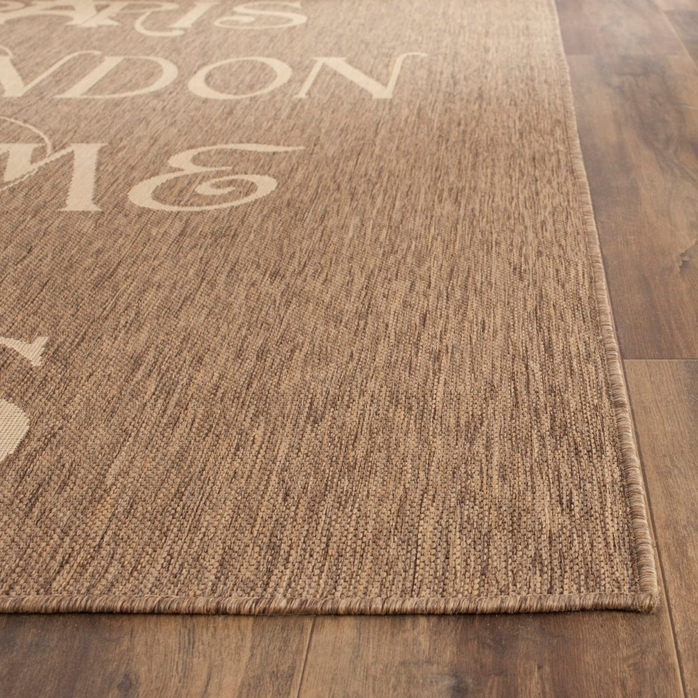 Safavieh Destinations Outdoor POWER LOOMED  Rug Brown / Beige CY9143B-4