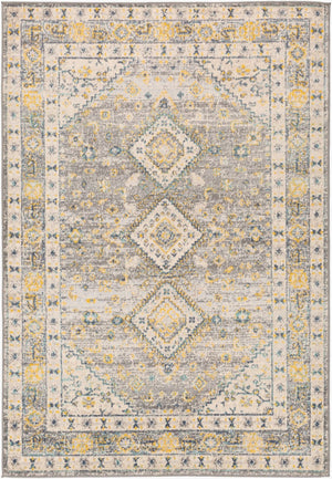Livabliss City Light Polypropylene Area Rug Machine Woven in Turkey for Modern Living Rooms CYL2320-81012