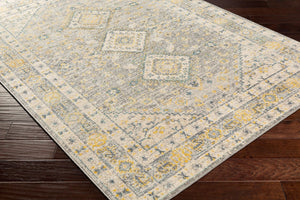 Livabliss City Light Polypropylene Area Rug Machine Woven in Turkey for Modern Living Rooms CYL2320-81012