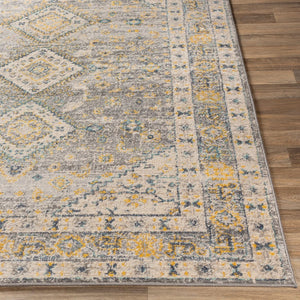Livabliss City Light Polypropylene Area Rug Machine Woven in Turkey for Modern Living Rooms CYL2320-81012