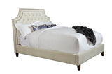 Parker House Parker Living Sleep Jasmine - Champagne Queen Bed Champagne Natural 100% Polyester (W) BJAS#8000-2-CMP