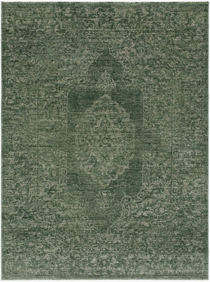 Livabliss Cyrus Traditional Medallion Fringe Area Rug Turkey Woven Polyester Living Room Accent Medium Green, S 2'7" x 3'11" CYR2303-27311