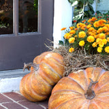 Pretty Mama Pumpkin FBY81056 Park Hill