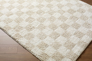 Livabliss Czechia Minimalist Runner Rug Plush Polypropylene Pile for Hallways and Entryways Ivory, White 2'7" x 7'3" CZE2306-2773